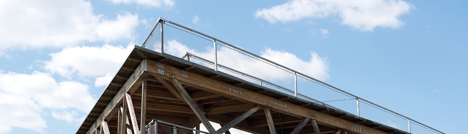 ISTN Koblenz - Institut für Systemische Beratung, Therapie und Supervision